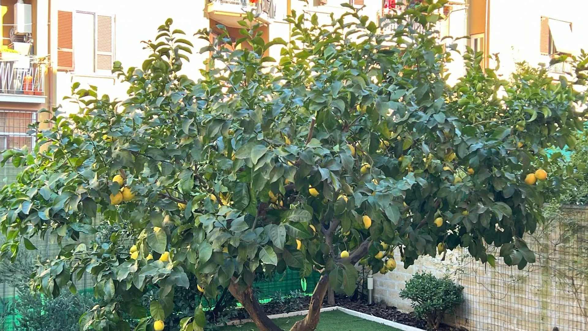 Casa de Férias Casa Paestum. Your Wonderful Garden In Roma Itália